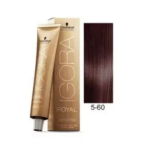 Igora Royal Absolutes Krémhajfesték 5-60 - 60ml Prémium