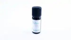 Bio illóolaj - EUCALIPT Dives - Aromax, nagykereskedés Szezonális akció