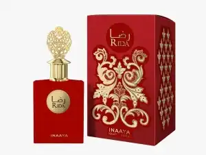 Népszerű Wrinkle by Inaaya, női eau de parfum, 100ml., nagyker