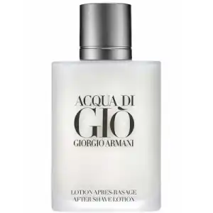 Acqua di Gio 100ml, 022548289655, nagykereskedelem, Giorgio... Exkluzív ajánlat