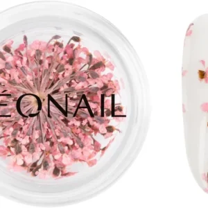 Végkiárusítás NEONAILDried Flowers szárított virág körmökre