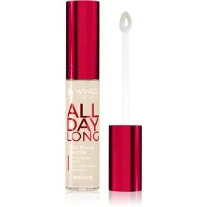 AA Wings of ColorAll Day Long Long Lasting Concealer folyékony korrektor Vedd meg online