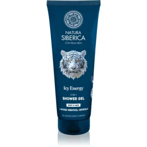 Gyors kiszállítás Natura SibericaArctic Wild Icy Energy tusfürdő gél és sampon 2 in 1