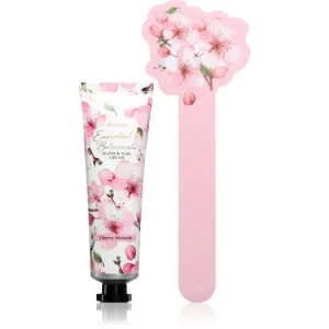 Legnépszerűbb AccentraEssential Botanicals Hand & Nail Cream ajándékszett kézre és körmökre