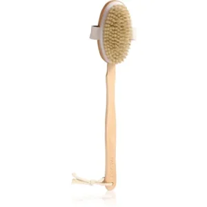 Korlátozott ajánlat PALSAR7Wooden Back Scrubber hajkefe hátra