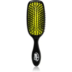 Expressz szállítás Wet BrushShine Enhancer hajkefe a fénylő és selymes hajért