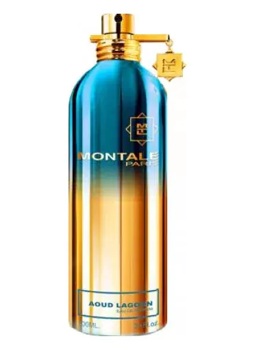 Biztonságos fizetés Montale Paris Aoud Lagoon Uniszex Parfüm (eau de parfum) Edp 100ml